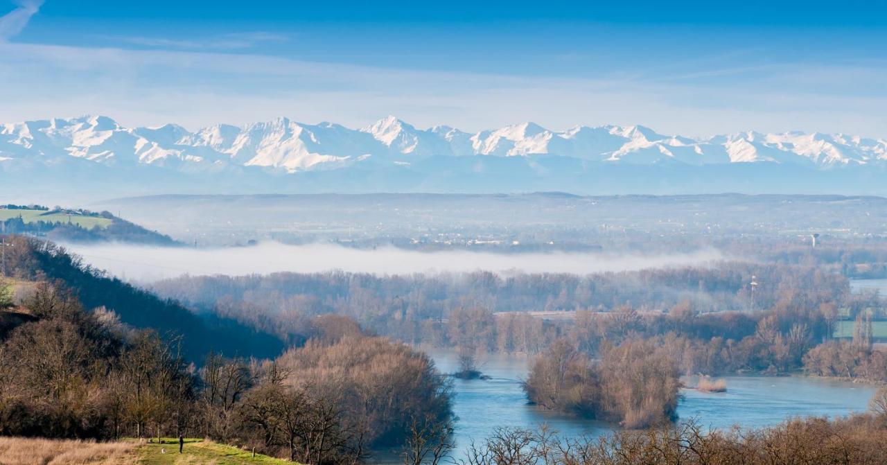 Le Lamartine - T3 Dans Un Parc Frouzins Exterior foto